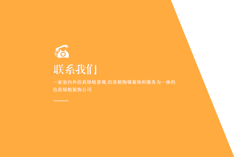 联系我们
